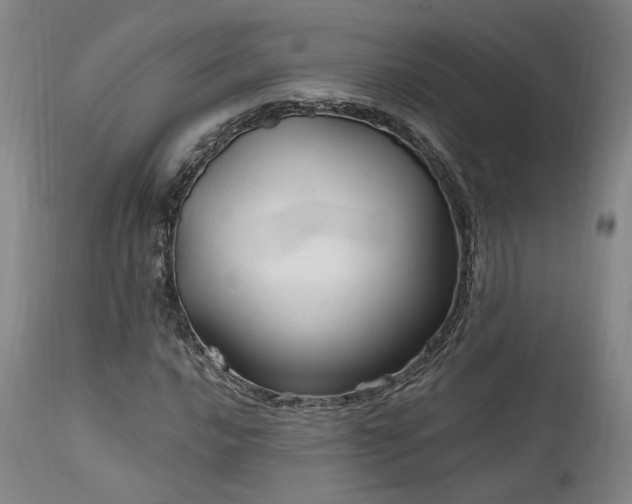 X0000112021016200908031352