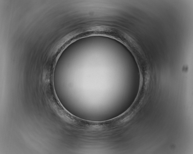 X0000112021017200908031352