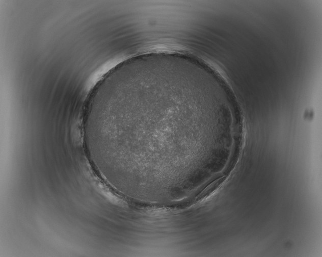 X0000112021018200908031352