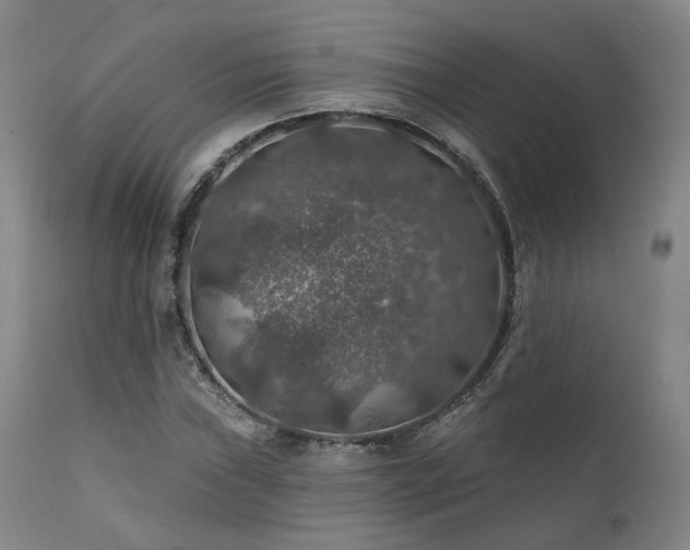 X0000112021019200908031352