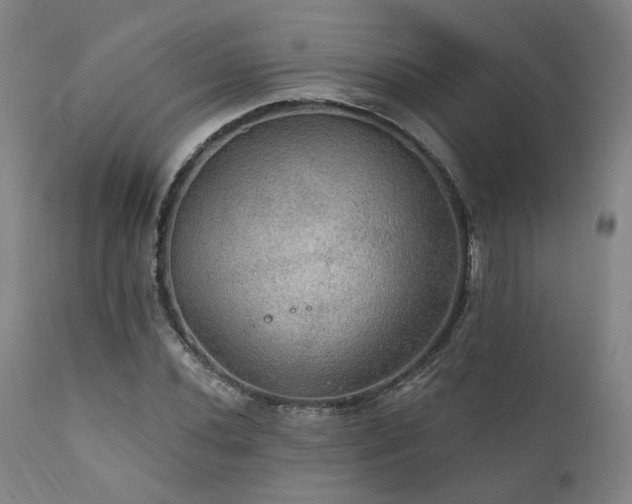 X0000112021020200908031352