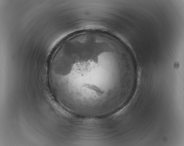 X0000112021021200908031352