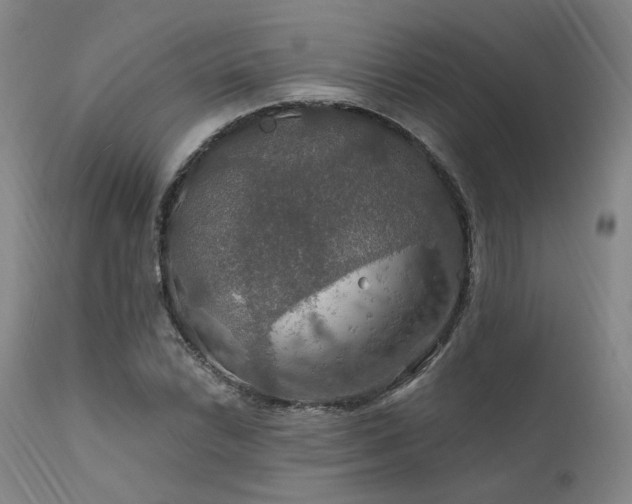 X0000112021022200908031352