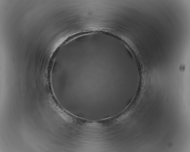 X0000112021023200908031352