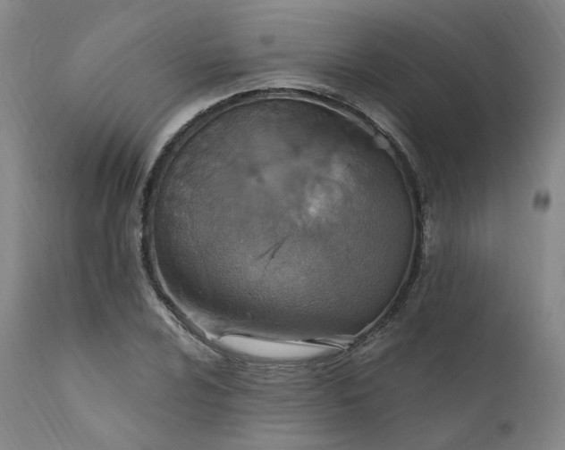 X0000112021024200908031352