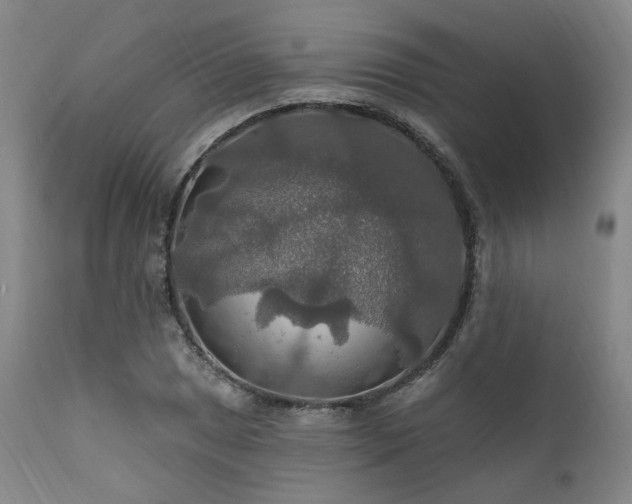 X0000112021025200908031352