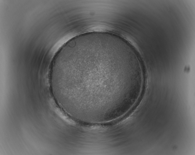 X0000112021026200908031352