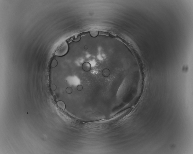 X0000112021027200908031352