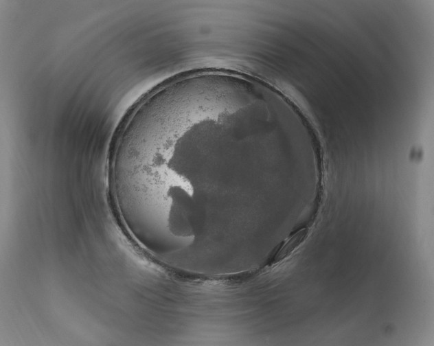 X0000112021028200908031352