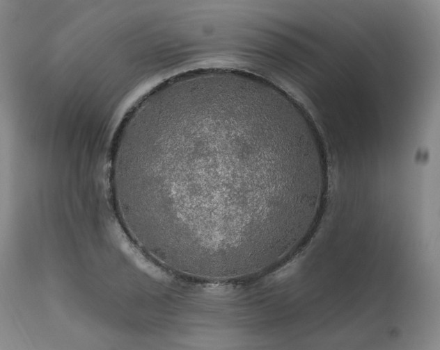 X0000112021029200908031352