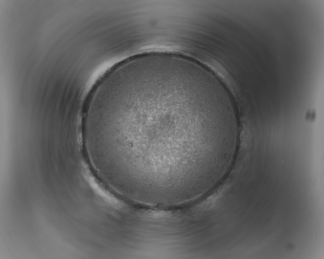 X0000112021030200908031352