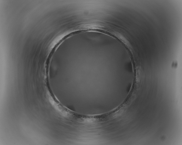 X0000112021031200908031352