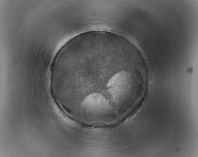 X0000112021032200908031352