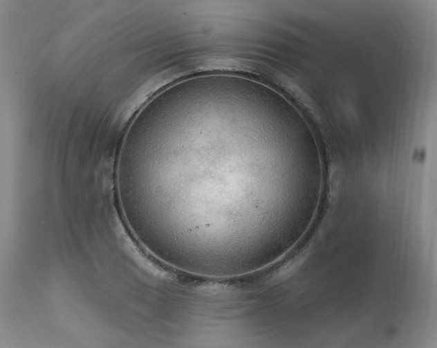 X0000112021033200908031352