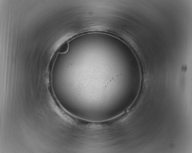 X0000112021034200908031352