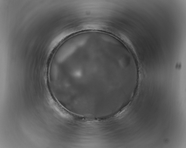 X0000112021035200908031352