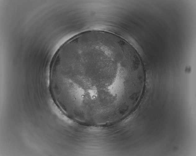 X0000112021036200908031352