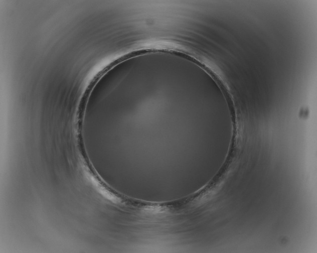 X0000112021037200908031352