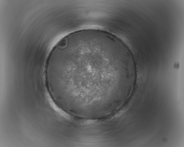 X0000112021038200908031352