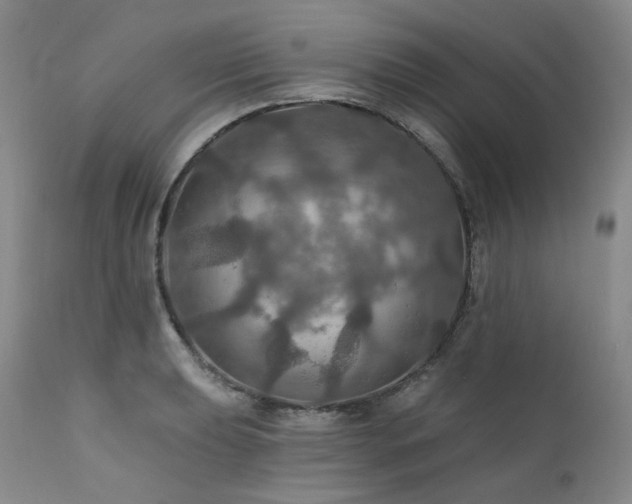 X0000112021039200908031352