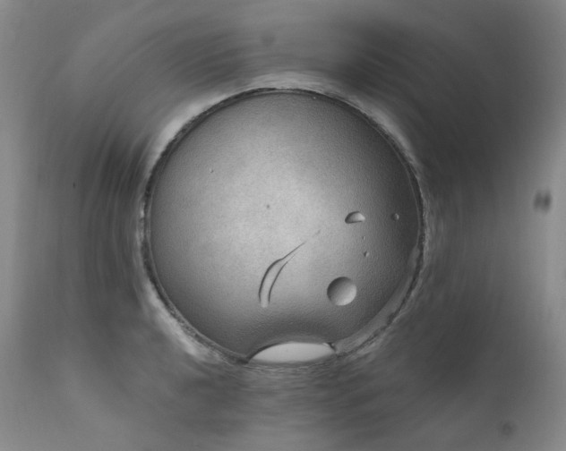 X0000112021040200908031352