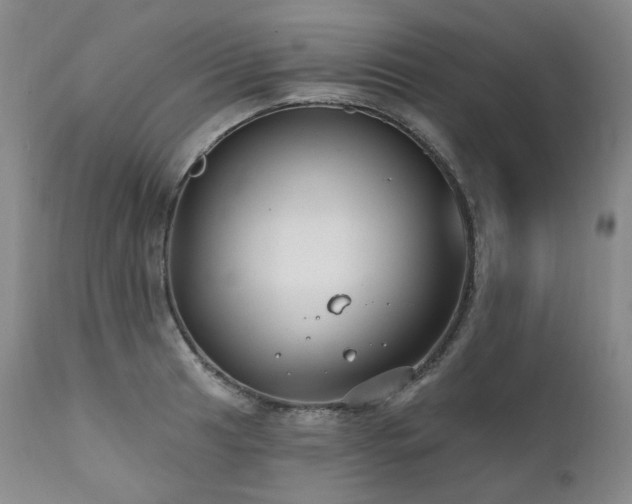 X0000112021041200908031352