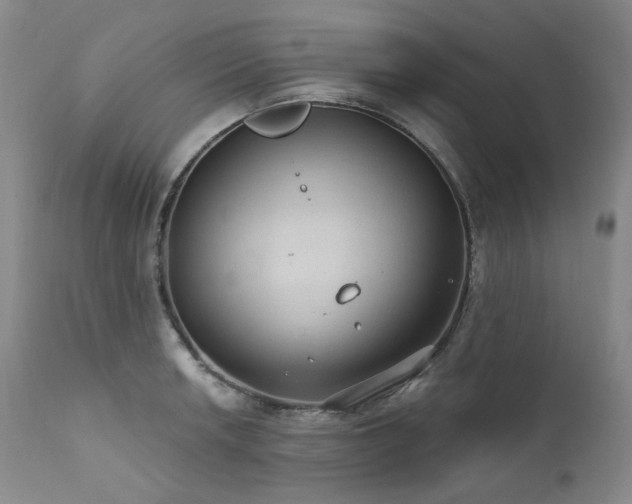 X0000112021042200908031352