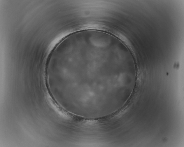 X0000112021043200908031352