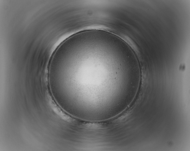 X0000112021044200908031352