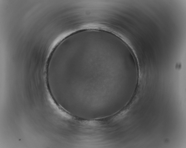 X0000112021045200908031352