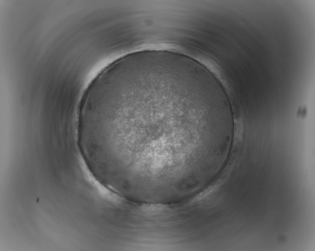 X0000112021046200908031352