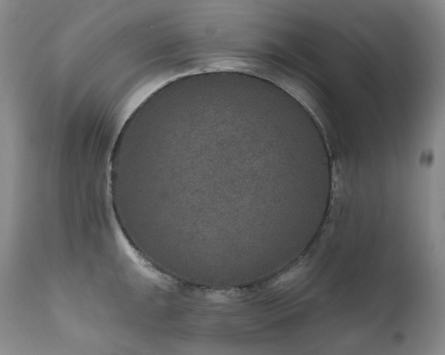 X0000112021047200908031352