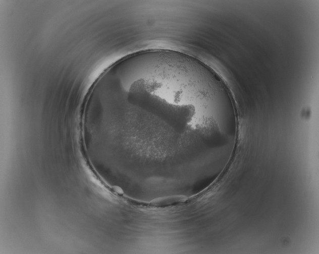 X0000112021048200908031352