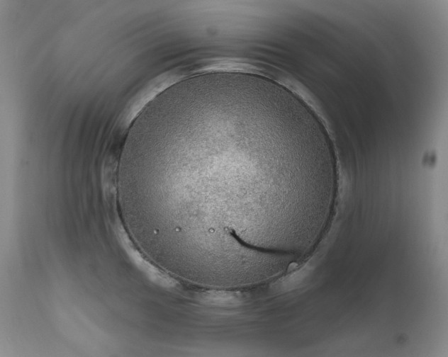 X0000112021049200908031352