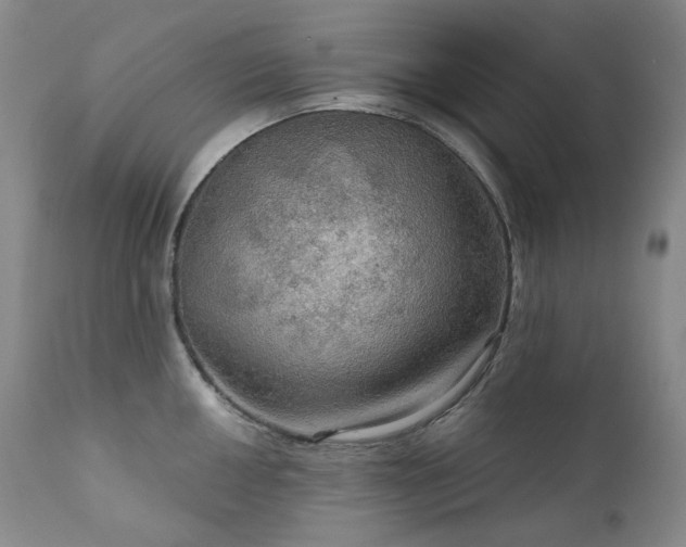 X0000112021050200908031352