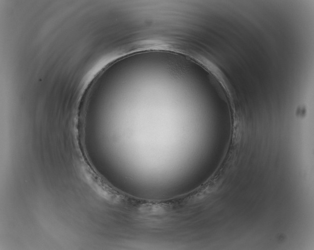 X0000112021051200908031352