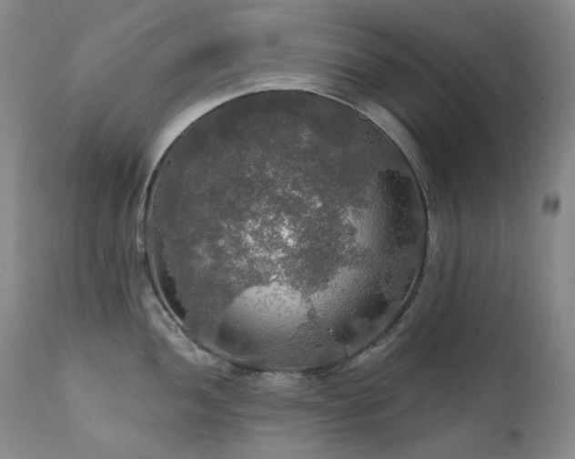 X0000112021052200908031352