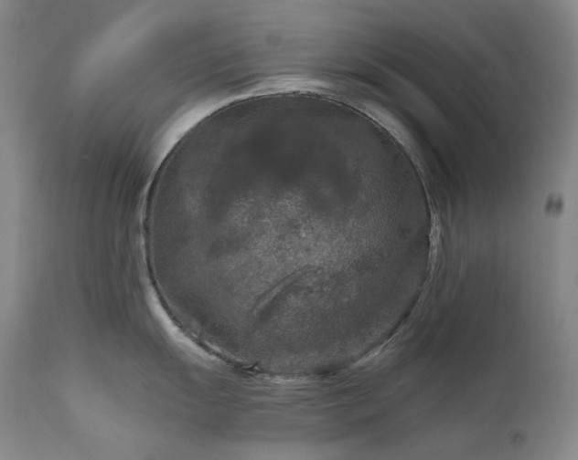 X0000112021055200908031352