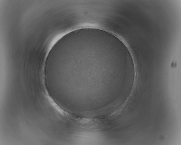 X0000112021056200908031352