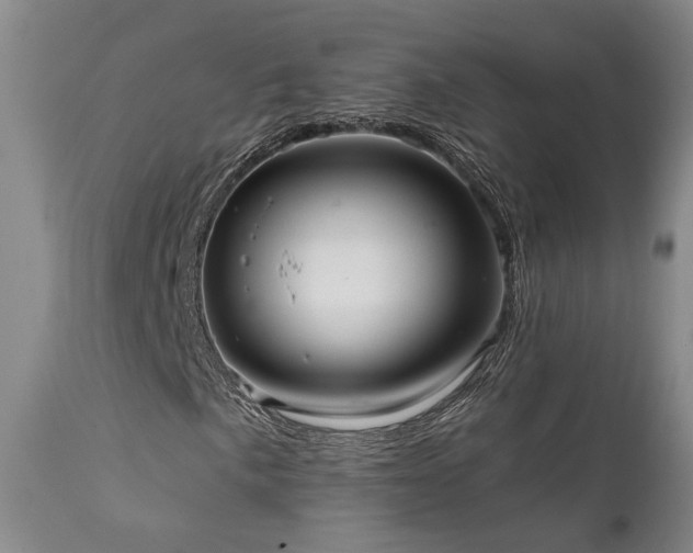 X0000112021057200908031352