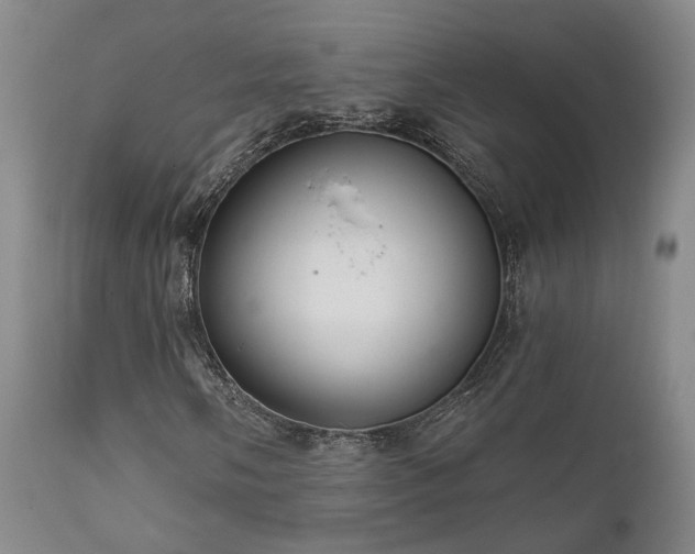 X0000112021058200908031352