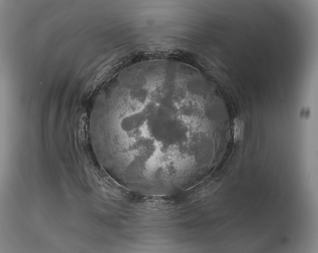 X0000112021059200908031351