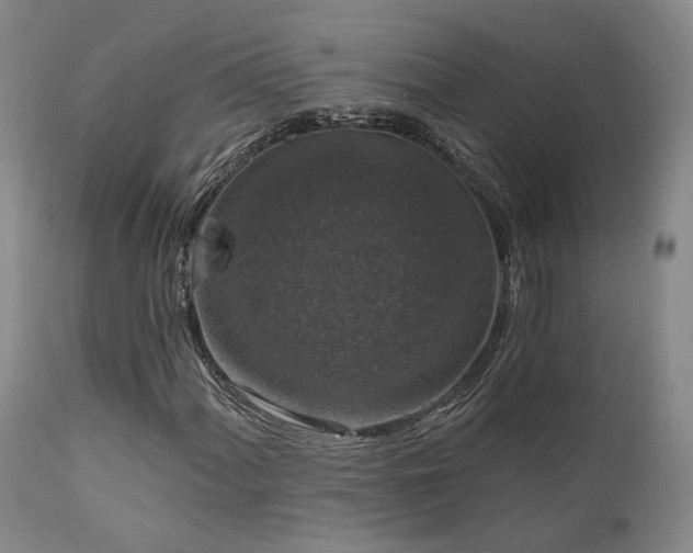 X0000112021060200908031351