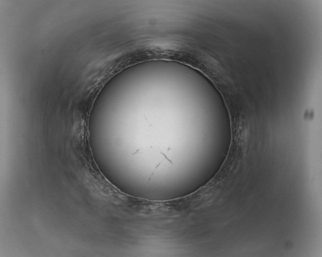 X0000112021061200908031351