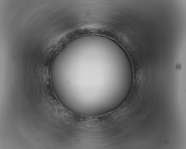 X0000112021062200908031351