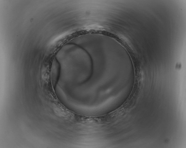 X0000112021063200908031351