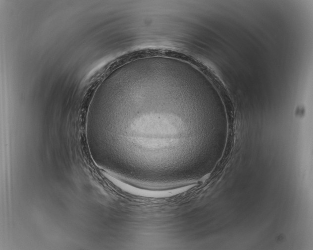 X0000112021064200908031351