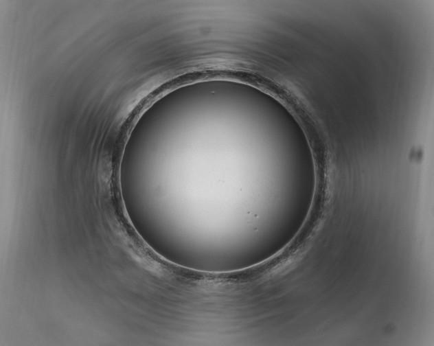 X0000112021065200908031351