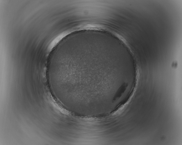 X0000112021066200908031351