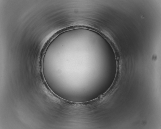 X0000112021068200908031351